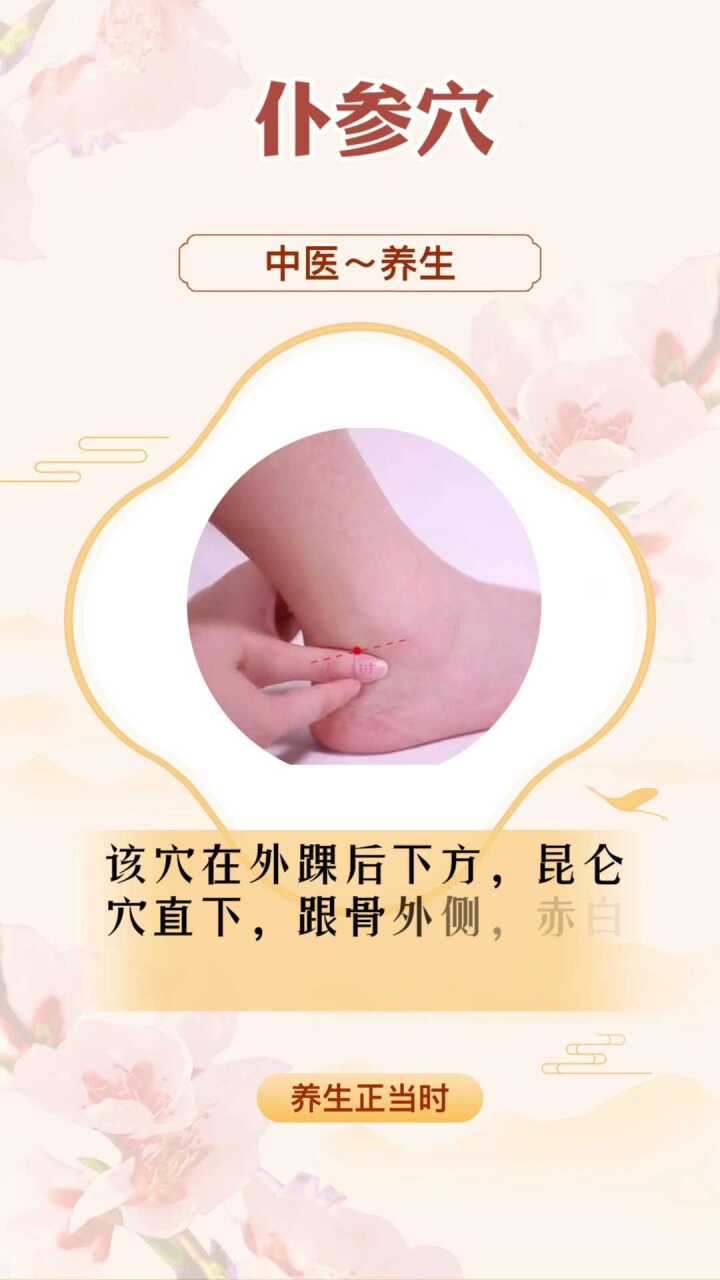 仆参穴的功效_腾讯视频