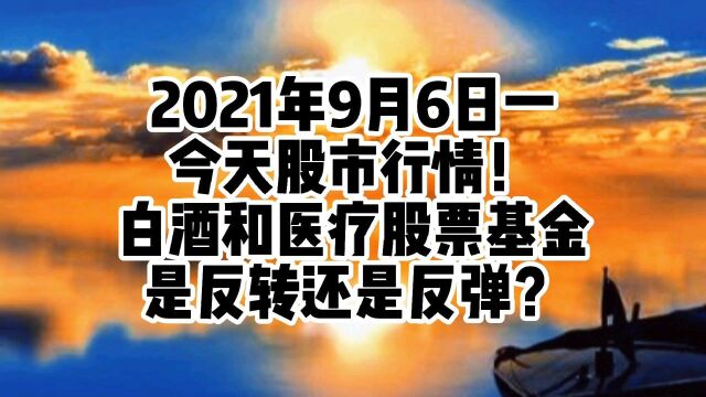 今天股市行情,白酒和医药股票,基金是反转还是反弹?