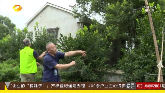 捕鸟大网隐秘布设 多只鸟被挂住 联合执法拆除捕鸟网 还它自由天空