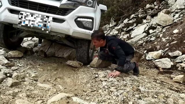 4000米高山拍摄到了国家二级保护动物红隼与黑头松鸦同框镜头!