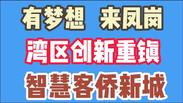 有梦想来凤岗 湾区创新重镇 智慧客侨新城