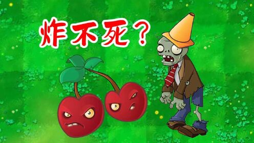 植物大战僵尸鉴版：樱桃炸弹炸不死路障？