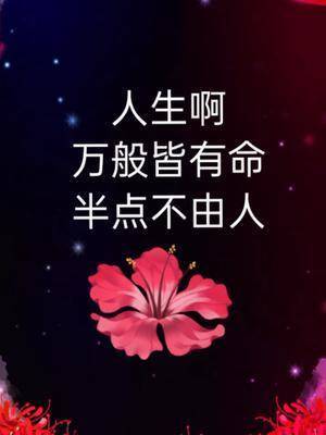 人生啊万般皆有命半点不由人