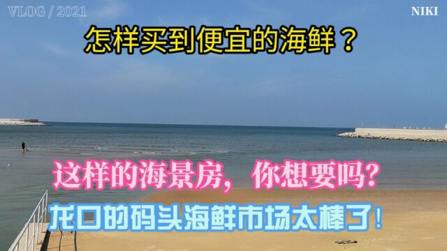 怎样买到便宜的海鲜?龙口码头海鲜市场.出门就可以游泳的海景房