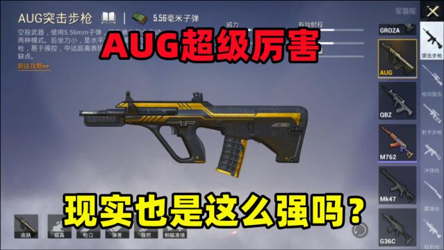 AUG这么强现实也是如此吗?所有部件都能互换,太无解了