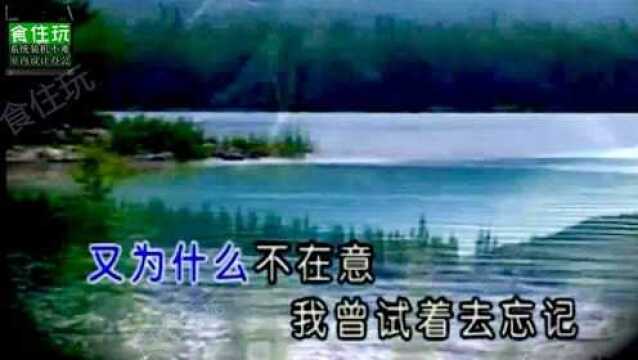 韩宝仪经典老歌第27首|含泪的别离,望着你悄然离去!