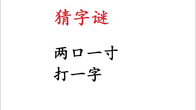 小学猜字谜:两口一寸,打一字