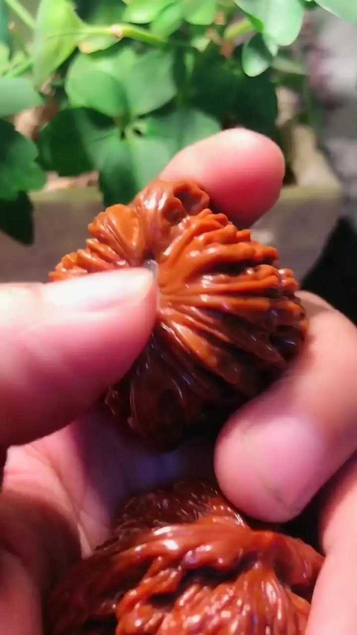 小伙给你讲解文玩核桃要不要封气门不懂的赶紧听听