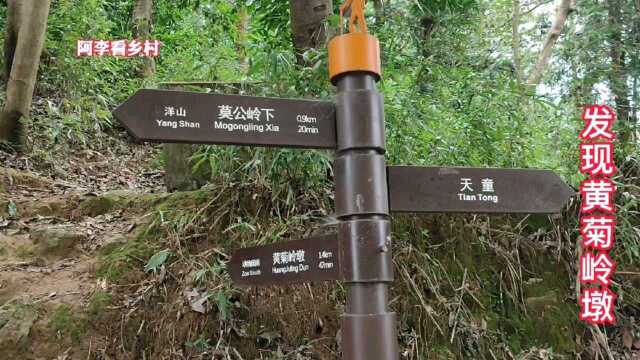 打卡宁波网红古村洋山村,途中发现黄菊岭墩