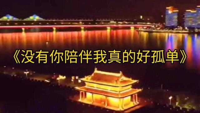 《没有你陪伴我真的好孤单》