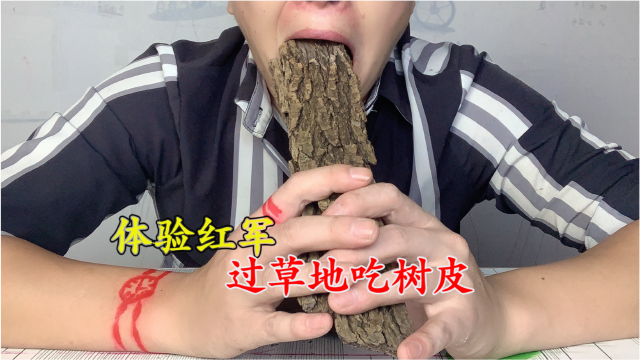 红军过草地的时候都吃树皮树皮好吃吗我来体验一下