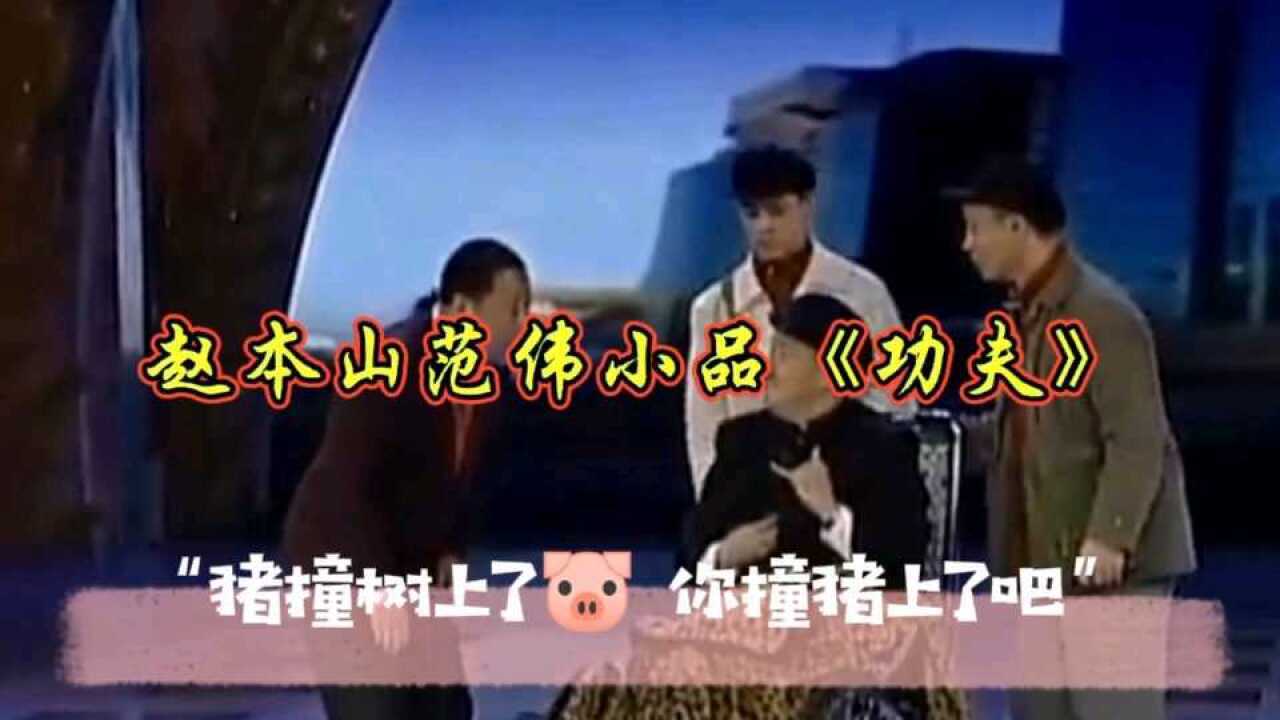 赵本山范伟经典小品《功夫》,“猪撞树上了,你撞猪上了吧”_高清1080P在线观看平台_腾讯视频