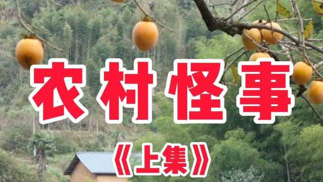 民间故事《农村怪事》上集