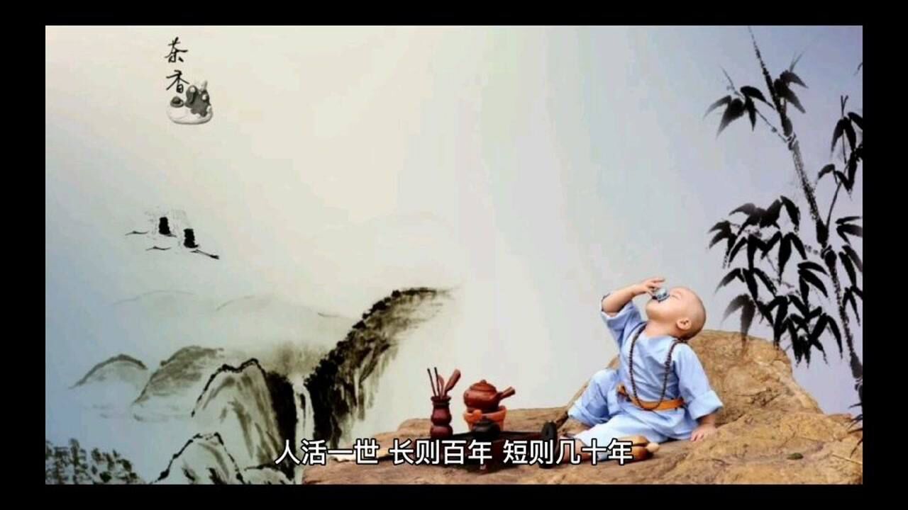 古诗词欣赏腾讯视频}