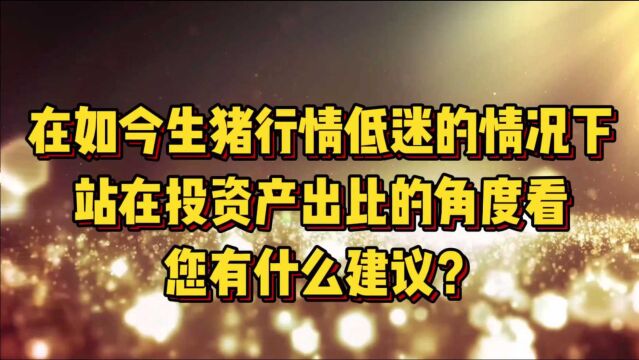 在猪价低迷的情况下,从投资产出比的角度,什么时候进场最合适?