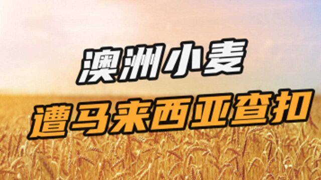 澳洲1700万吨出口目标恐落空?马来西亚查扣超3000万元澳小麦