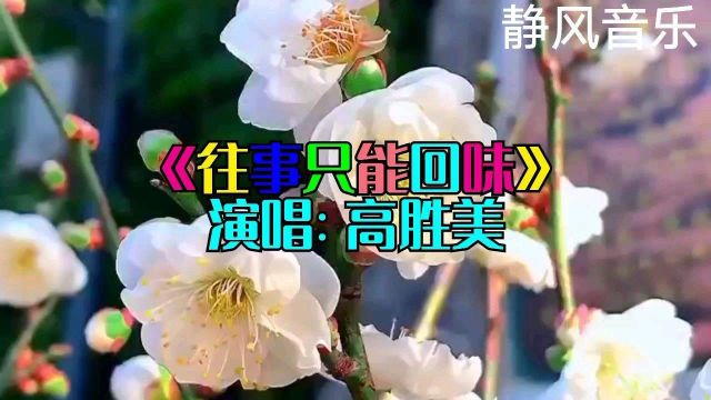 歌曲《往事只能回味》演唱:高胜美