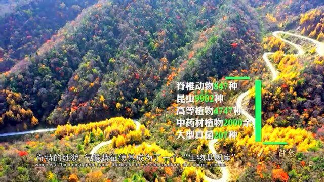 我们的共同家园|和谐共生 锦绣陕西