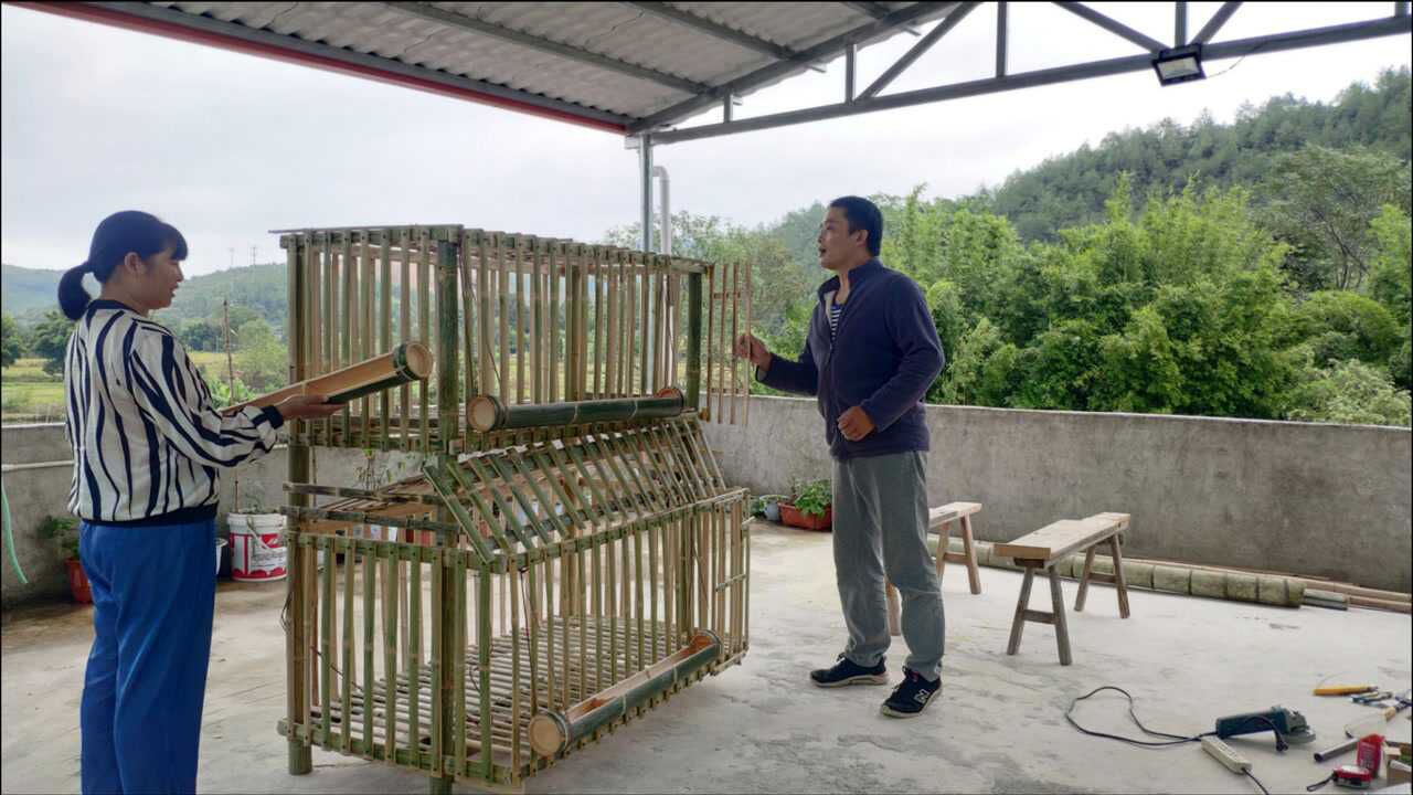 用竹子做个超大鸡笼,鸡可以自由出入,纯手工制作大伙看看怎样_高清1080P在线观看平台_腾讯视频