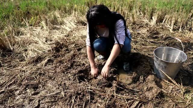 农村小伙徒手抓黄鳝,抓了一条又一条,太过瘾了