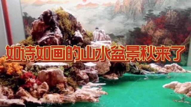 如诗如画的山水盆景造景秋天来了