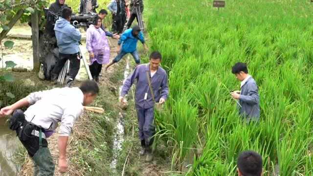 文娱面面观|袁隆平“禾下乘凉梦”成真,原来《功勋》是“美食剧”