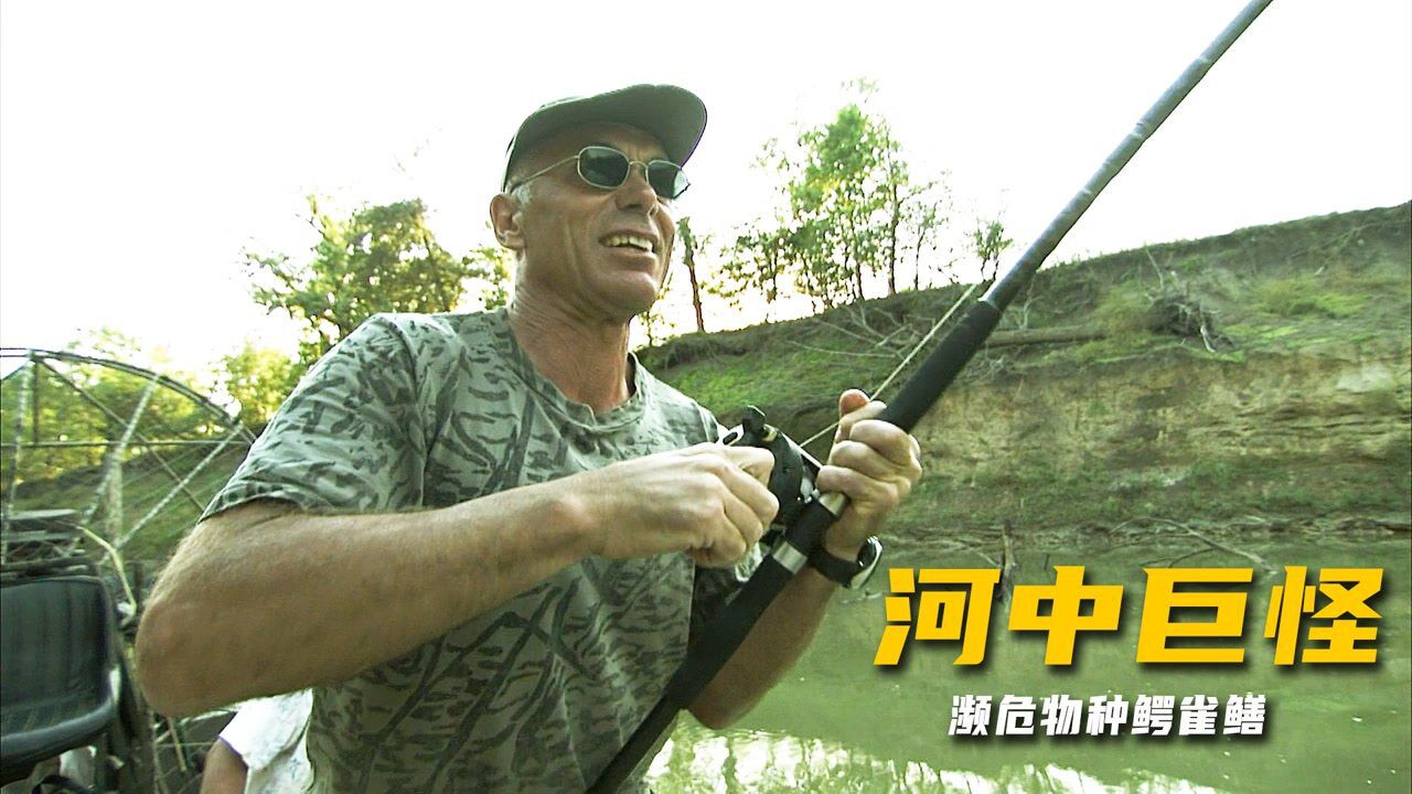 河中巨怪,史前生物鳄雀鳝,本性温柔却因长相惨遭人类的捕杀,因此濒临灭绝_高清1080P在线观看平台_腾讯视频