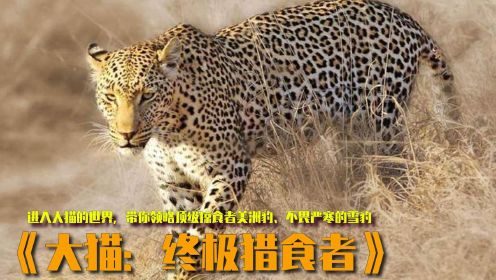 纪录片《大猫：终极猎食者》进入大猫的世界，带你领略顶级掠食者美洲豹，不畏严寒的雪豹