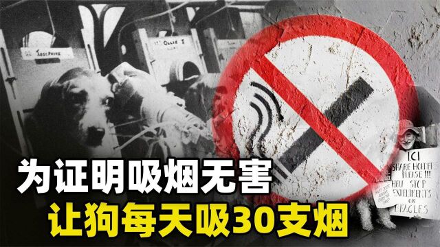 为证明吸烟无害,英国烟草公司让狗每天吸30支烟,三年后结果如何