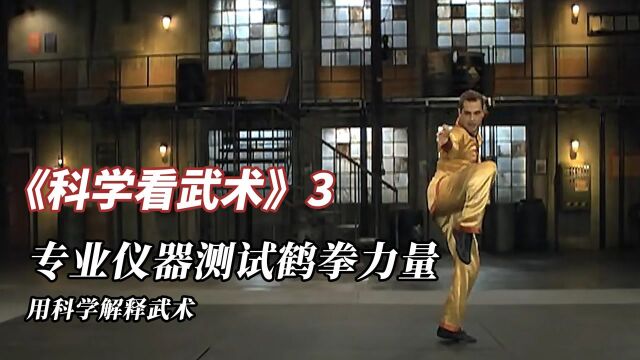 国家地理《科学看武术》3:鹤拳不仅闪避稳,力量也是一绝