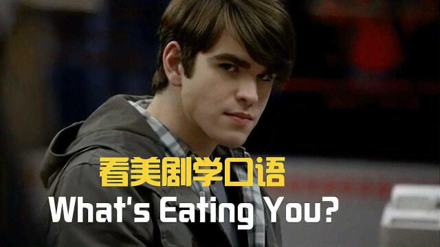 What's Eating You?这英语一看就懂吧!但可惜很可能是错的!