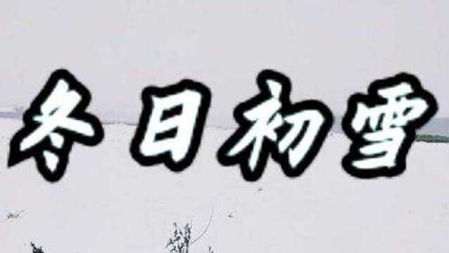 河北省唐山市丰润区东郊,2021年11月7日,大暴雪实地拍摄