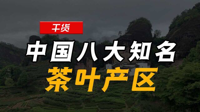 中国八大知名茶叶产区,你知道几个?你的家乡有什么茶?