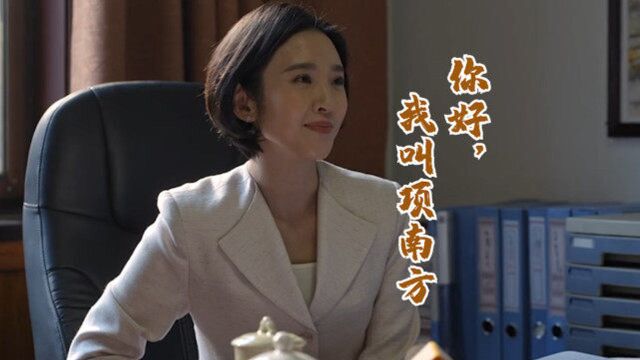 乔家的儿女:一次采访任务,认识了项南方,感情新开篇