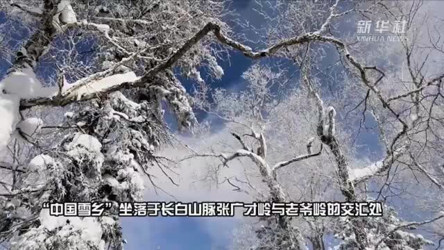 东北雪蘑菇景观宛如童话