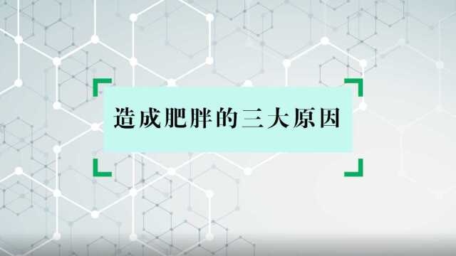 【赛乐赛科普小知识】造成肥胖的三大原因