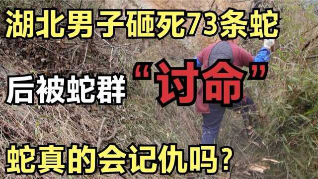 湖北男子砸死73条蛇,后被蛇群“讨命”!蛇真的会记仇吗?