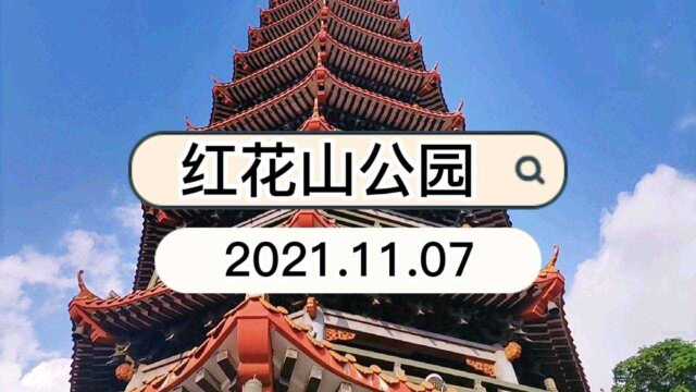 这个网红公园有一大片粉黛乱子草,拍照超美,快来留下粉色的回忆