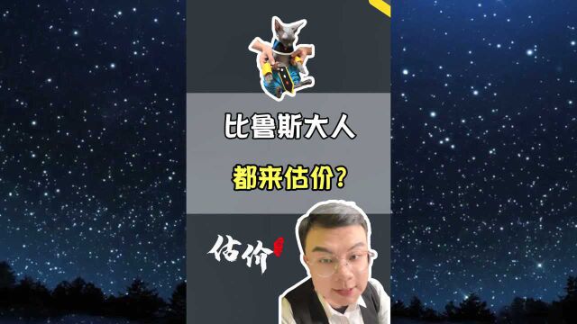 还有给比鲁斯估价的?你家里有养猫吗?