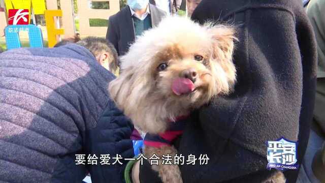 长沙公安开展文明养犬宣传进小区活动,提供办证等一站式服务