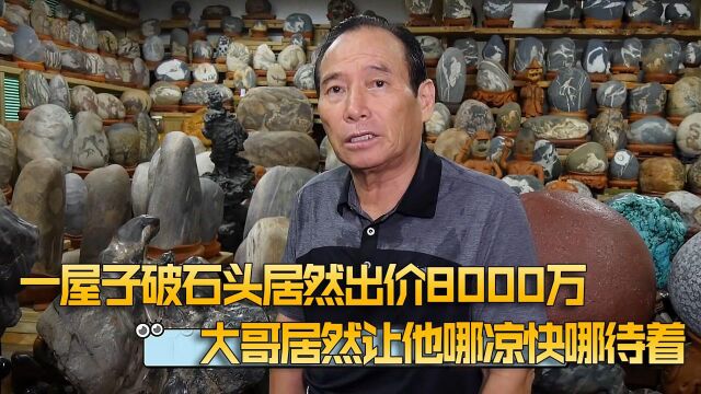 大哥收藏的一堆破石头居然有人出价8000万,而且大哥都没卖!