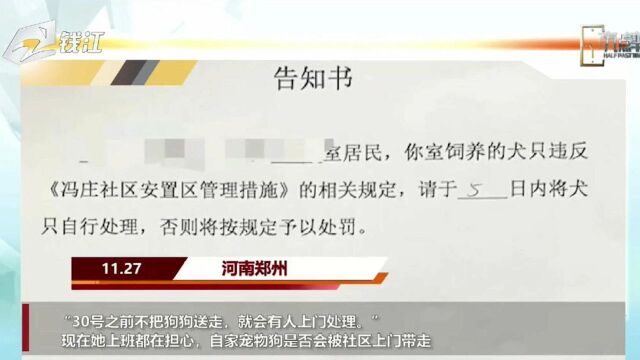 河南郑州一社区禁止养犬,称九成业主赞成