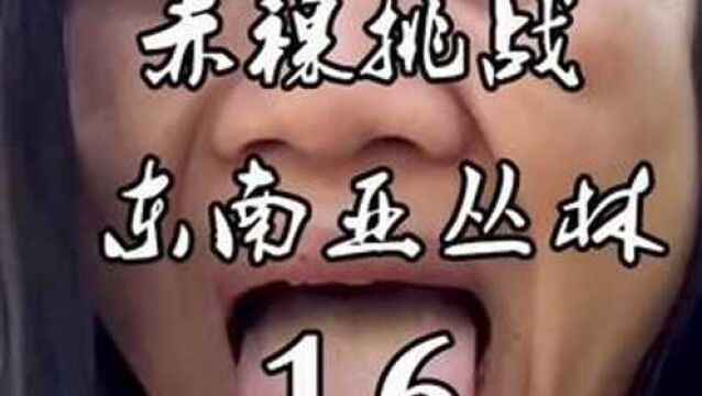 第16集I女子光身荒野求生东南亚丛林,暴雨后解决生火问题.