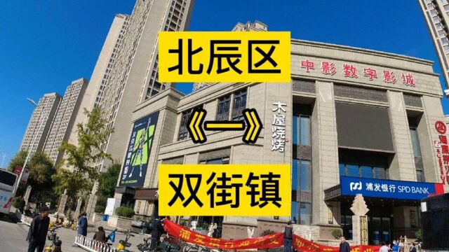 天津市北辰区第《2》个视频,双街镇一