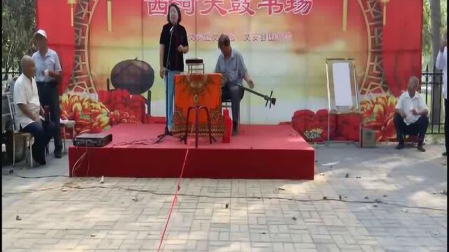 28弦师集锦,文安四届,张国安伴奏2016年