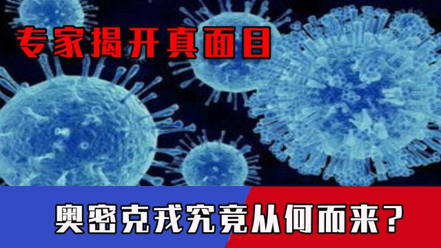 全球38国遭“新毒王”猛攻,奥密克戎究竟从何而来?专家揭开真面目