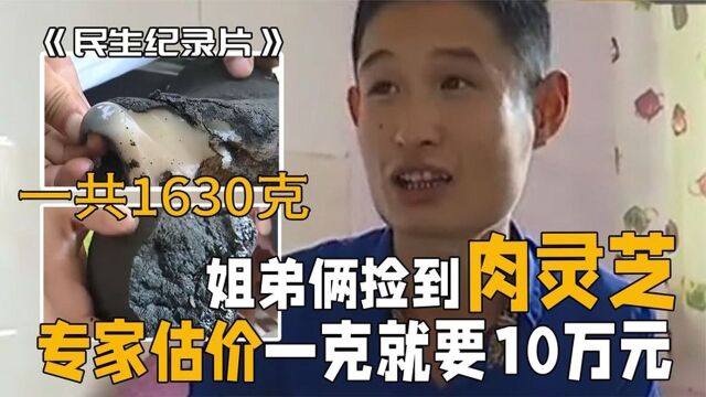 小伙捡到“石太岁”估值上亿!专家:10万块钱一克,小伙不淡定了