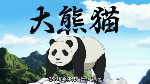 女子落语：被所有人喜欢的大熊猫，最开始熊猫的称呼却不是它的