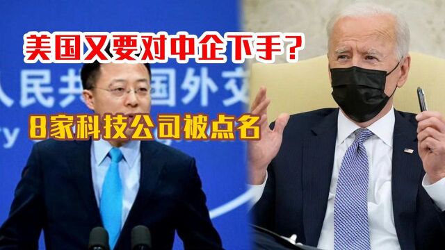 把戏还没耍够?美国加码应对大疆等8家中企,外交部回应来了