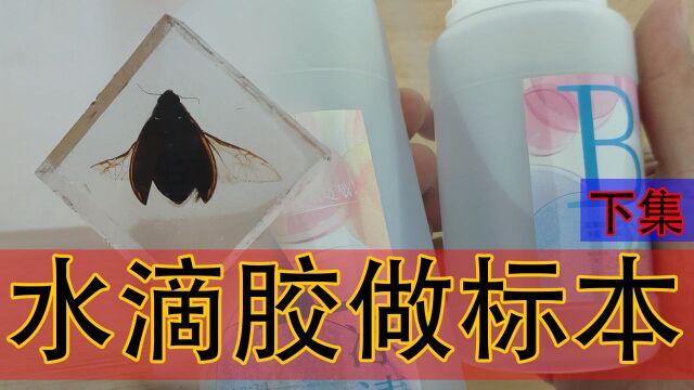 开箱测评水滴胶!液体晶莹剔透,把昆虫放进去就能做出标本吗?